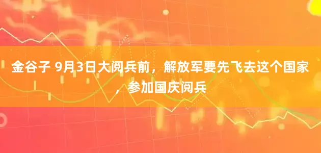 金谷子 9月3日大阅兵前，解放军要先飞去这个国家，参加国庆阅兵