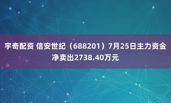 宇奇配资 信安世纪（688201）7月25日主力资金净卖出2738.40万元