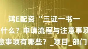 鸿E配资 “三证一书一表”具体指什么？申请流程与注意事项有哪些？_项目_部门间_建设