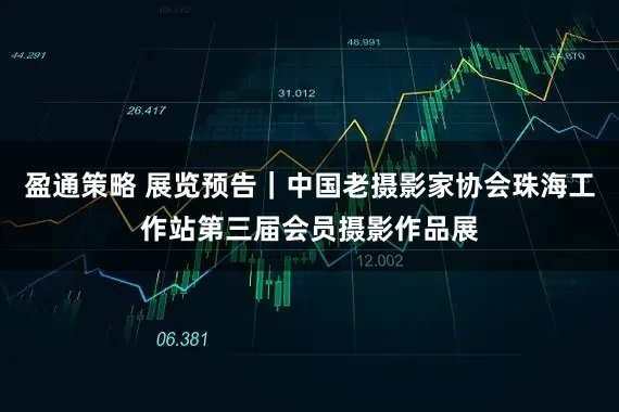 盈通策略 展览预告｜中国老摄影家协会珠海工作站第三届会员摄影作品展